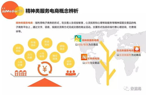 2017上半年中國精神類服務(wù)電商市場研究報(bào)告 信息咨詢服務(wù)引領(lǐng)新風(fēng)尚